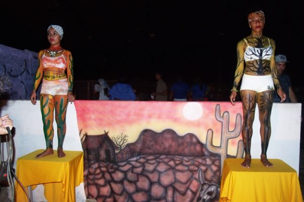 GEDSC DIGITAL CAMERA